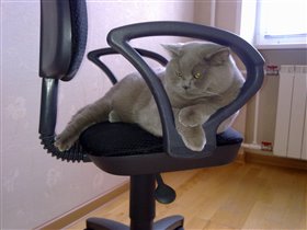 Шихану год!!!