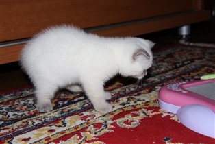 Вот такие мы были в месяц