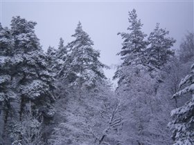 Зимушка - Зима