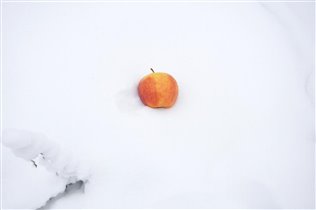 яблоко на снегу