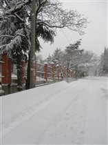 Зима 2011