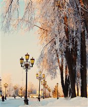 Зимние краски города