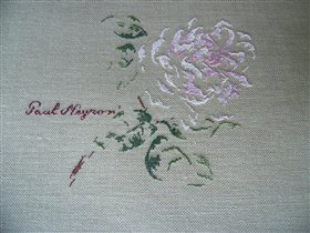 Роза №1, Paul Neyron