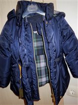 курта Майораль 4 года