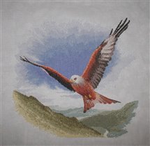 Red Kite in Flight от Heritage