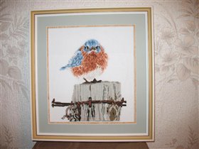 Mad blue bird (Bucilla)
