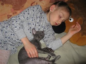 Спят усталые котята...