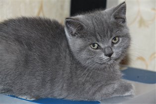 Лорд теперь Чарльз