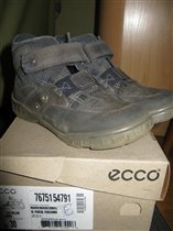 экко деми 30й рр