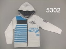 Толстовка для мальчиков (Z12-5302)