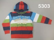 Толстовка для мальчиков (Z12-5303)