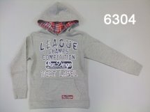 Толстовка для мальчиков (Z12-6304)