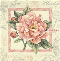 Начато 15.06.2012 закончено 16.10.2012