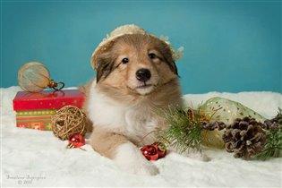 Фотомодель