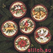 Cold Collection 8813