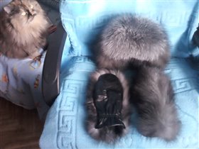 Шапка и варежки.