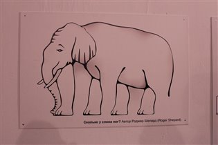 Сколько ног у слона