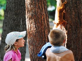 Вот ты какая, алуштинская белка!)))