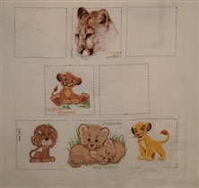 Робин 'Дикие кошки', 2006