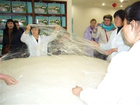 Пекин, фабрика произ-во шёлковых одеял, подушек...
