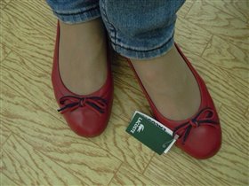 Красно-синие Лакосты