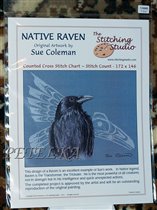 Native Raven (Sue Coleman)