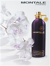 Montale Blark Purple