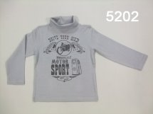Водолазка для мальчиков (W12-5202)