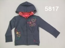 Толстовка для мальчиков (W12-5817)