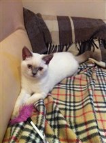 Марго 7 месяцев