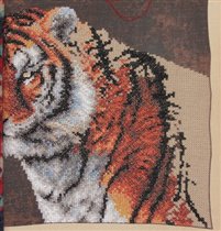 Тигр - 7 - завершение близко )))