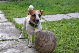 Бэтси и мяч