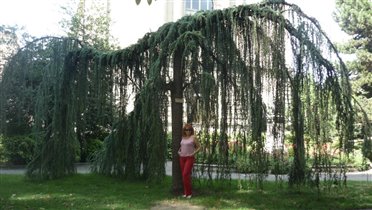 В парке университета Женевы