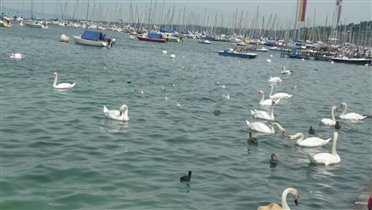 Женевское озеро