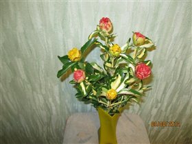 розы из кабачка - букет влюблённого мужчины