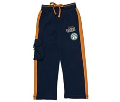 спортивные брюки зеплин, 