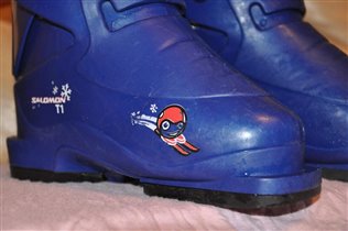 Горнолыжные ботинки