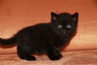 Мы подросли - нам месяц