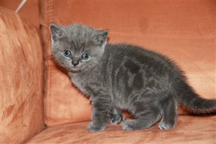 Милый ребенок. Очень нежный и трогательный