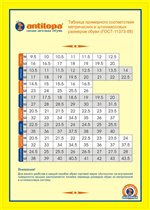 размерная сетка