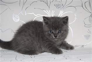 Месяц и неделька - растем.