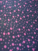 х/б (симпатичная)