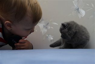 День Рождения - Месяц!