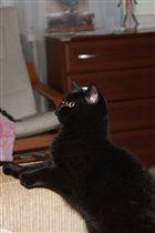 Наоми - дома Нюша