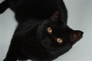 Наоми 7 месяцев