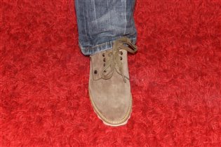 ГАДЫ р. 37 в пристрой