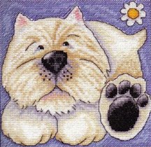 вестик с пяточкой