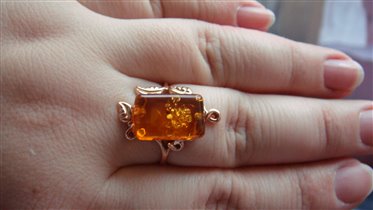 Балтийское Золото