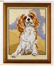 спаниелька