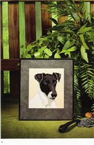 Фокстерьер